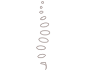 Developed by physical therapists